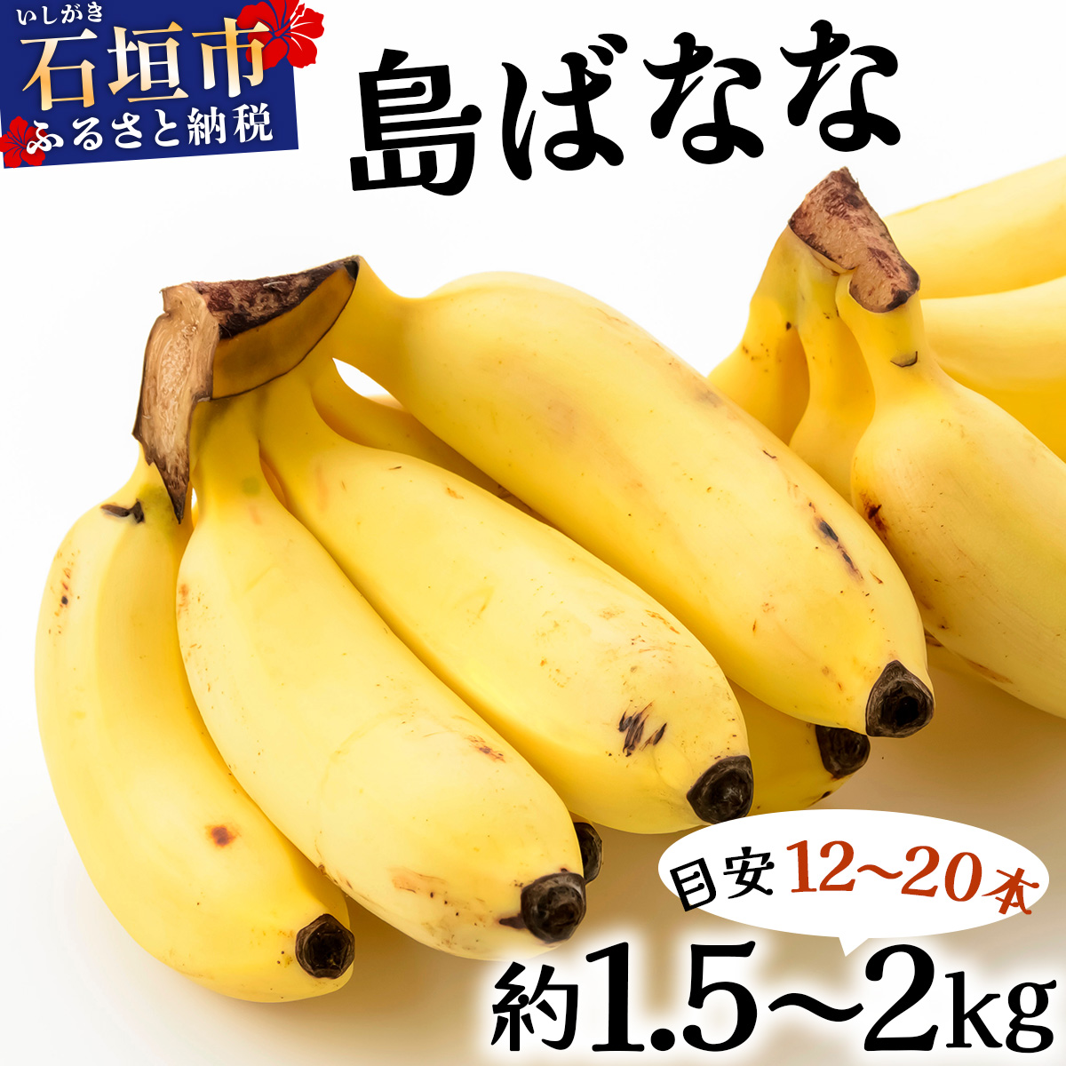 先行予約 2026年5~10月順次発送 バナナ好きに届けたい!!完全無農薬栽培 もっちり食感がやみつきの希少な国産『プレミアム島ばなな』贅沢に1房丸ごと約1.5-2kgお届け!!沖縄県石垣市17000果