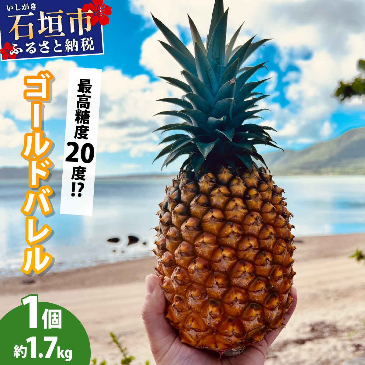 【先行予約2026年5月下旬ころから順次発送】最高糖度20度!?石垣島産完熟ゴールドバレル 1玉 約1.7kg沖縄県石垣市15000果物・フルーツマンゴー・パイナップル