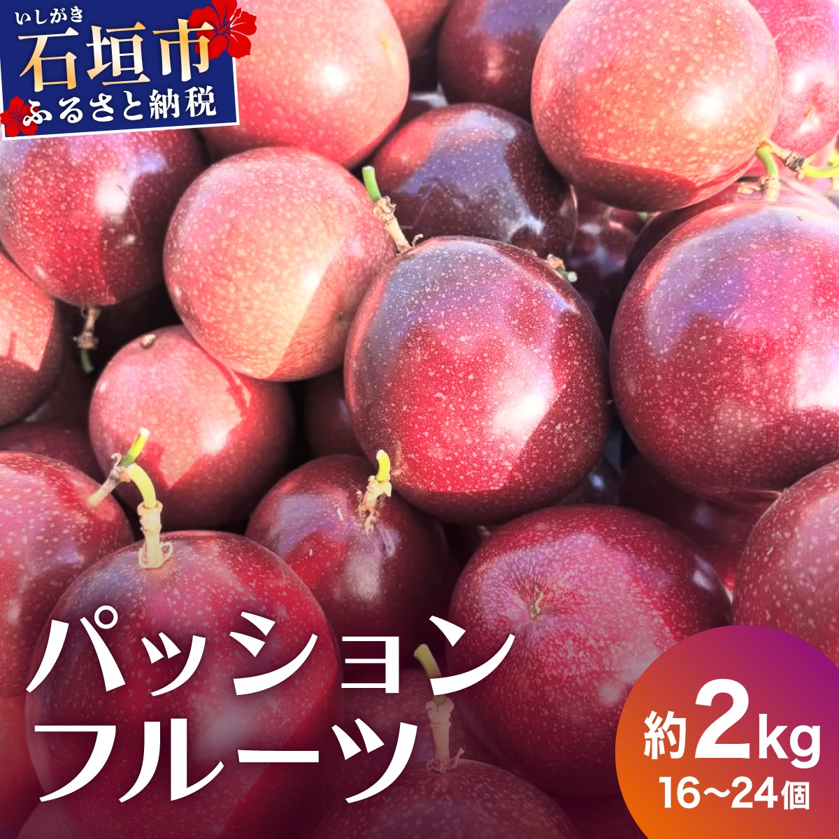 《2025年12月下旬~2026年6月頃発送》希少な完熟パッションフルーツ 約2kg (16~24個)沖縄県石垣市22000果物・フルーツ