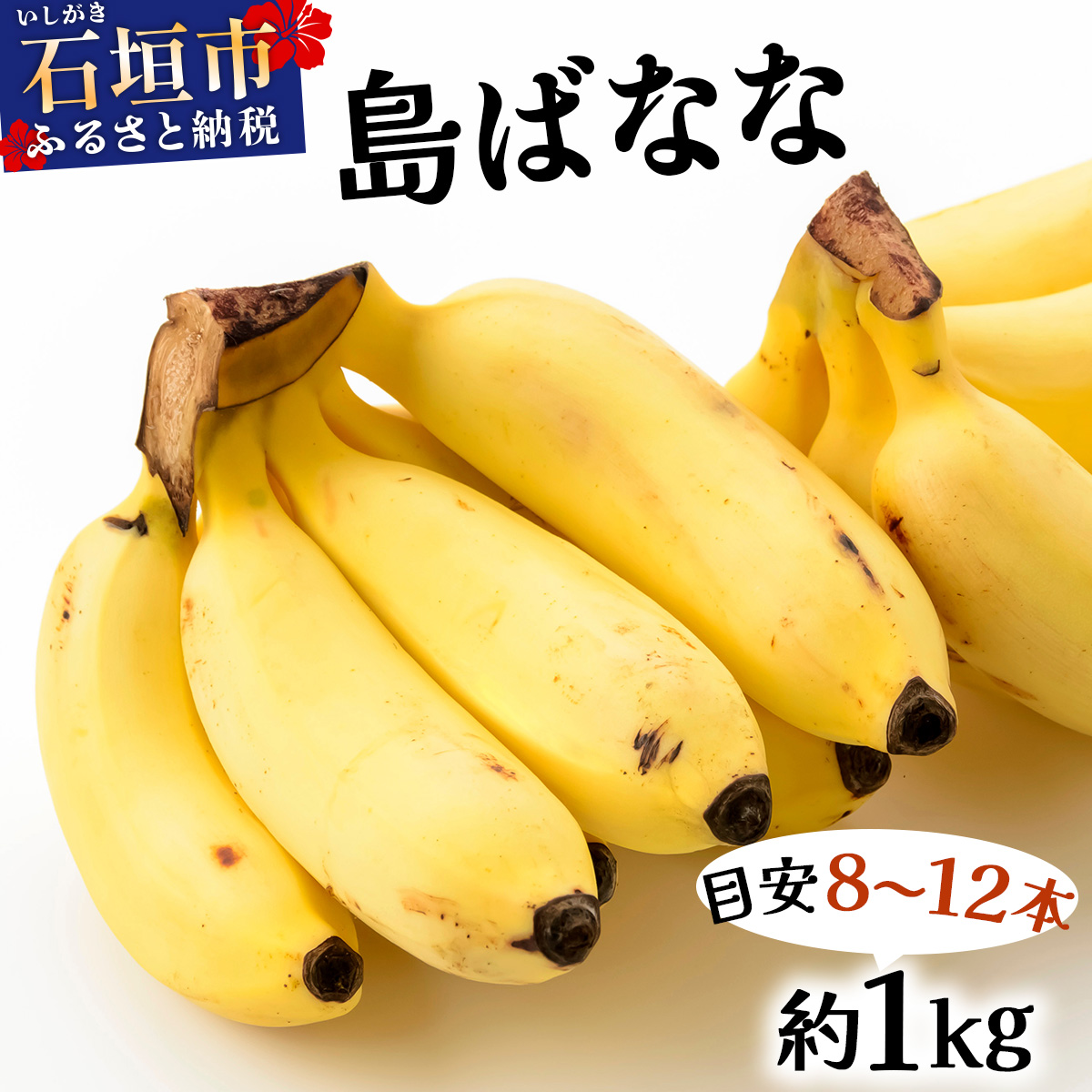 oiiDɓ͂IIS_͔| H݂̊󏭂ȍYwv~A΂Ȃȁxґ1[ۂƖ1kg͂IIꌧΊ_s12000ʕEt[c̑ ʕEt