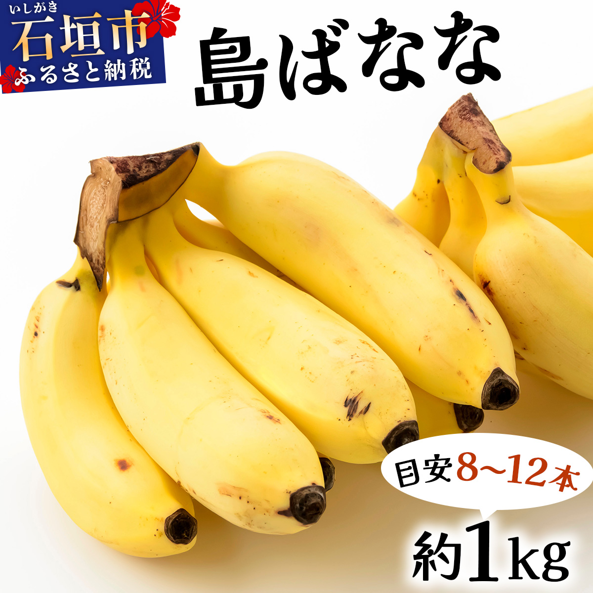 先行予約 2026年5~10月順次発送  バナナ好きに届けたい!!完全無農薬栽培 もっちり食感がやみつきの希少な国産『プレミアム島ばなな』贅沢に1房丸ごと約1kgお届け!!沖縄県石垣市12000果物