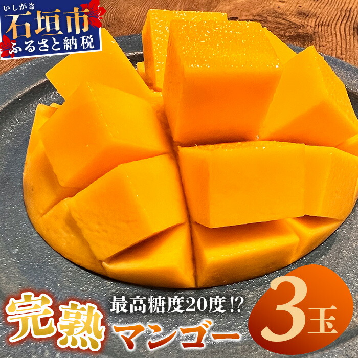 《2026年6月下旬〜7月発送》【先行予約】最高糖度20度!? 完熟!3Lサイズ 石垣島マンゴー 3玉入り【 沖縄 石垣島 石垣 八重山 マンゴー 完熟 期間限定 数量限定 沖縄県 石垣島産 】TF-28_R8沖縄