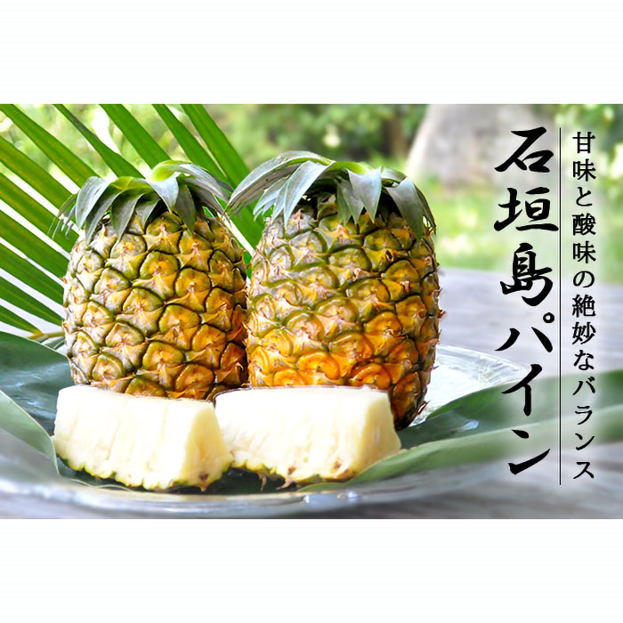 【先行受付】《2025年6月〜8月順次発送予定》パイナップル(ハワイ種)沖縄 4玉入 約3.5kg 石垣島 農家直送 パインアップル TK-6沖縄県石垣市10000果物・フルーツマンゴー・パイナップル