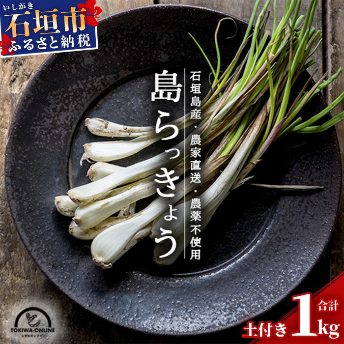 ystz傤  yt Pkgs2025N2{`3{\t Ί_ _ƒy 傤 傤 ܂ ̂ꂽ Е VՂzTK-7ꌧΊ_s10000