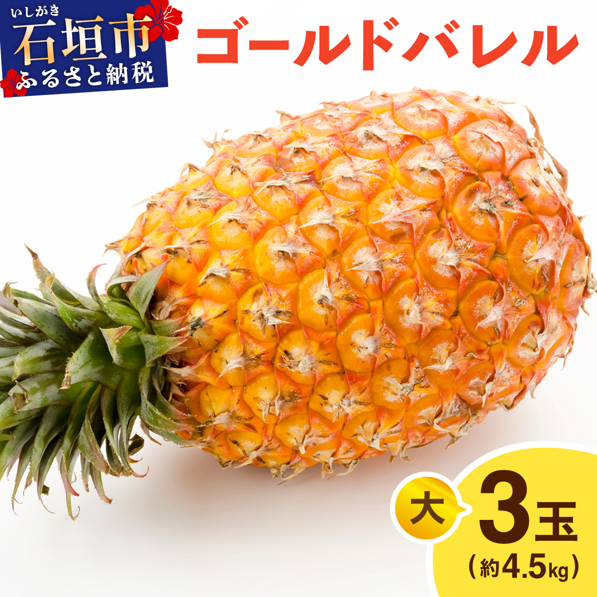 ≪5月上旬順次発送≫ゴールドバレル 大 3玉(約4.5kg) TP-17沖縄県石垣市25000果物・フルーツマンゴー・パイナップル