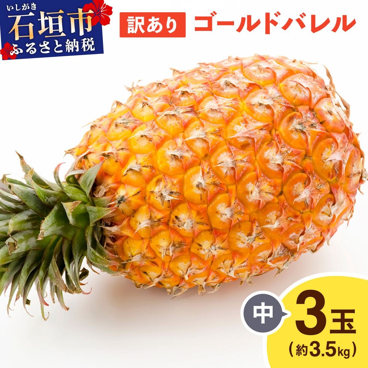 ≪5月上旬順次発送≫ 訳あり ゴールドバレル 中 3玉(約3.5kg) TP-19沖縄県石垣市19000果物・フルーツマンゴー・パイナップル