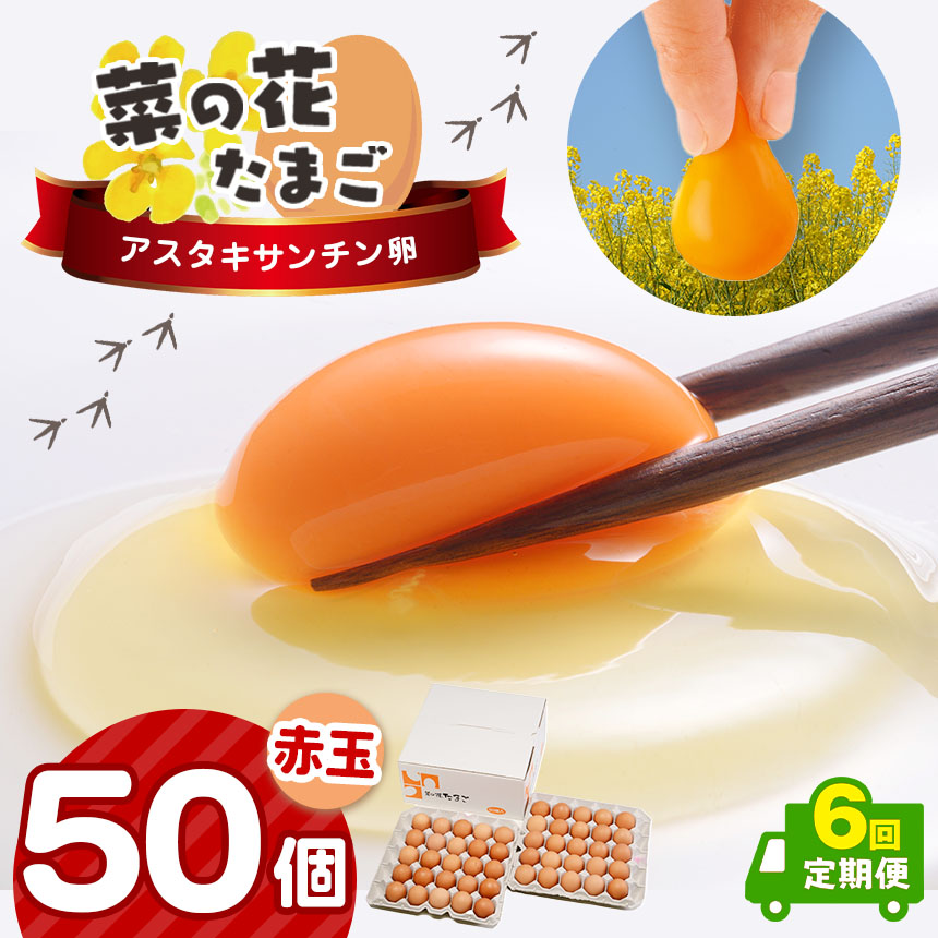 《全6回定期便》君津市産 菜の花エッグ アスタキサンチン卵赤玉50個入り 菜の花たまご | 早く届く すぐ すぐ発送 たまご 卵 タマゴ 玉子 定期便 赤 卵かけご飯 お菓子作り 新鮮 オススメ 千