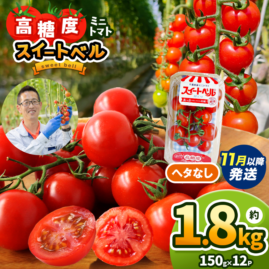 【2月発送】 高糖度 ミニトマト スイートベル ( ヘタなし ) 150g × 12P | 野菜 トマト ミニトマト プチトマト トマト 高糖度 トマト とまと 小分け 君津とまとガーデン 千葉 君津 きみつ千葉