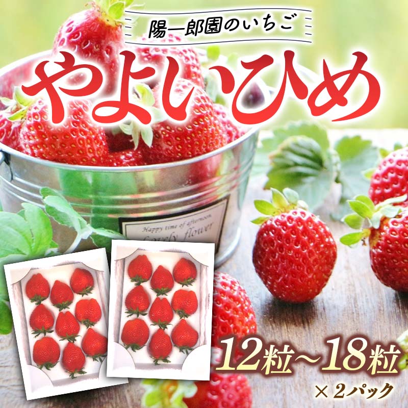 陽一郎園の大粒いちごW(ダブル) いちご イチゴ 苺 フルーツ 果物 F4H-0031群馬県渋川市16000果物・フルーツいちご