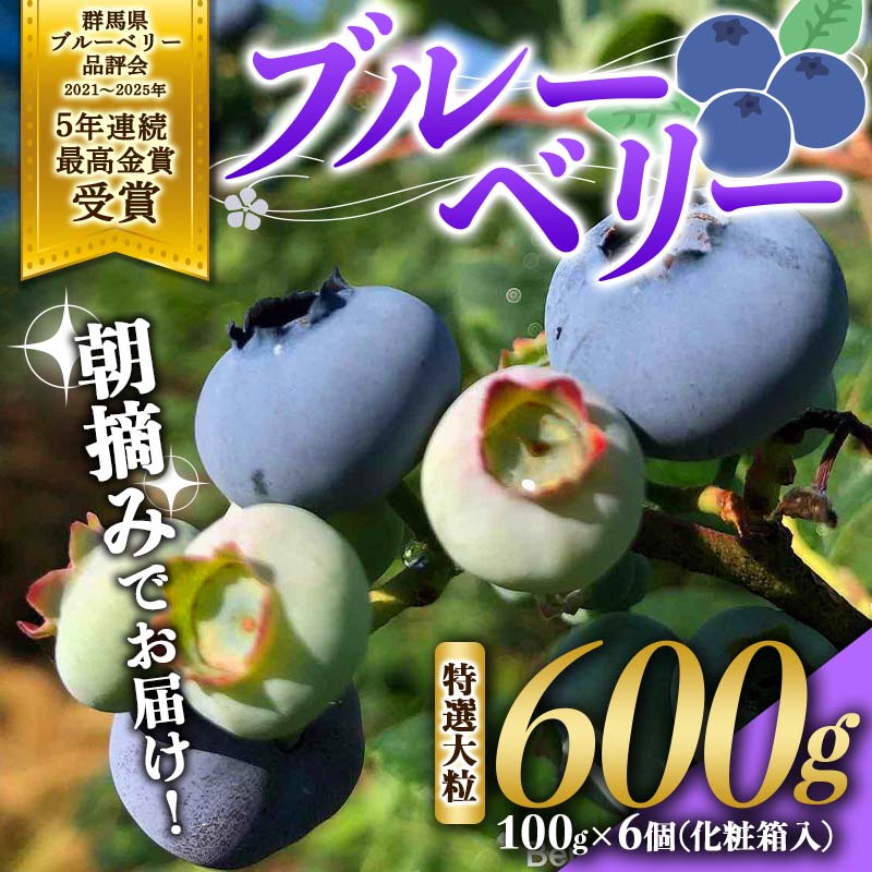 ブルーベリー特選大粒600g 朝摘みでお届け!【5年連続最高金賞受賞 群馬県ブルーベリー品評会2021~2025年】化学農薬不使用 除草剤不使用 フルーツ 果物 F4H-0038群馬県渋川市18000果物・フルーツ