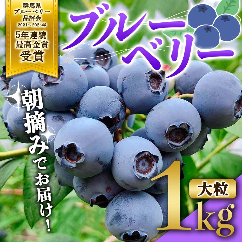 ブルーベリー大粒1kg 朝摘みでお届け!【5年連続最高金賞受賞 群馬県ブルーベリー品評会2021~2025年】 大粒 化学農薬不使用 除草剤不使用 フルーツ 果物 F4H-0039群馬県渋川市20000果物・フルー