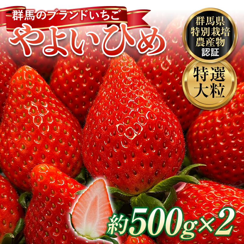 I嗱 uhu悢Ђ߁vE݂ł͂I1kgi500g×2j C`S  ʕ t[c  fU[g P[L Qn as  F4H-0159Qnas23000ʕEt[c