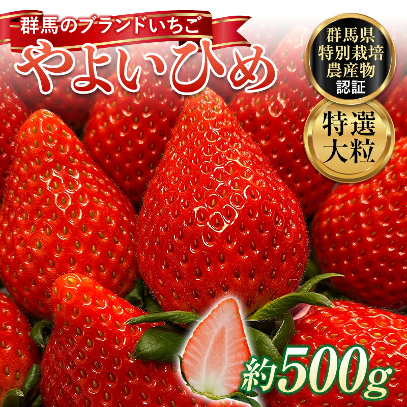 I嗱 uhu悢Ђ߁vE݂ł͂I500g C`S  ʕ t[c  fU[g P[L Qn as  F4H-0160Qnas14000ʕEt[c