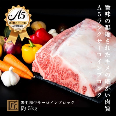 おやま和牛 A5極 サーロインブロック 約5kg【配送不可地域:離島】【1096920】栃木県小山市400000肉牛肉