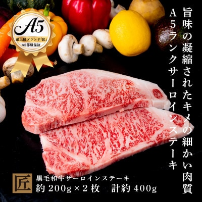 おやま和牛 A5 極 サーロイン 約200g×2枚【配送不可地域:離島】【1096924】栃木県小山市40000肉牛肉
