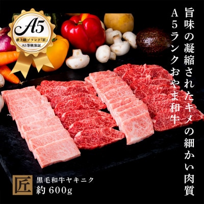 おやま和牛 A5 極 ヤキニク 約600g【配送不可地域:離島】【1096936】栃木県小山市44000肉牛肉