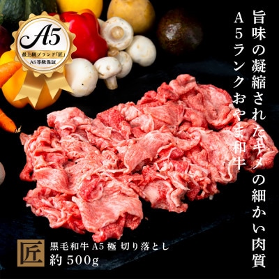 おやま和牛 A5 極 和牛切り落とし 約500g【配送不可地域:離島】【1096950】栃木県小山市26000肉牛肉