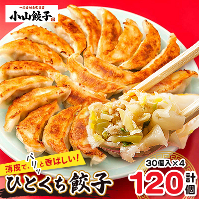 冷凍餃子専門店 小山餃子 ひとくち餃子 120個【配送不可地域:離島】【1259753】栃木県小山市13000鍋セット・総菜・加工食品総菜