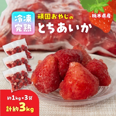 頑固おやじの冷凍完熟とちあいか合計3kg(約1kgX3個)【配送不可地域:離島】【1442886】栃木県小山市16000果物・フルーツいちご