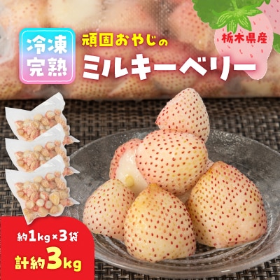 頑固おやじの冷凍完熟ミルキーベリー合計3kg(約1kgX3個)【配送不可地域:離島】【1442900】栃木県小山市18000果物・フルーツいちご