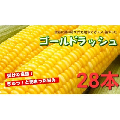 y28{ẑ!VNƂ낱uS[hbVvyzsnFEkCEEMzAkECEߋEEElEBzy1487435zȖ،Rs30000؁ÊƂ