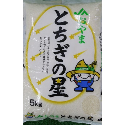 令和7年産 栃木県小山市産 とちぎの星 精米5kg【1491372】栃木県小山市16000米・パン白米