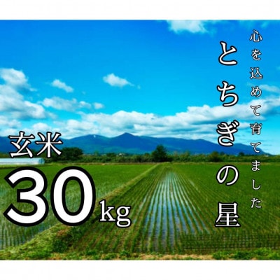 令和7年産 とちぎの星 玄米 30kg【1628168】栃木県小山市73000米・パン玄米・雑穀米・もち米・餅