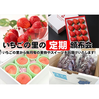 【発送月固定定期便】いちごの里定期頒布会全12回【配送不可地域:離島・北海道・沖縄・信越、北陸・東海・近畿・中国・四国・九州】【4000241】栃木県小山市120000果物・フルーツもも・す