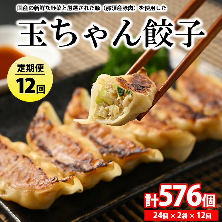 90-1【定期便12回】玉ちゃん餃子8人前(24個×2袋) | 餃子 ぎょうざ ギョウザ ギョーザ おつまみ おかず 惣菜 中華 点心 冷凍 国産栃木県那須烏山市90000鍋セット・総菜・加工食品その他 鍋セッ