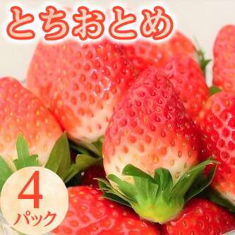 10-31【期間限定】とちおとめ(4パック)いちご 苺 イチゴ フルーツ 果物 数量限定 栃木県【オンライン決済限定】 ※着日指定不可 ※2023年1月中旬頃より順次発送予定栃木県那須烏山市10000果