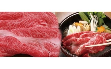 25-2@GRR[XXCX700gȖ،ߐ{GRs25000