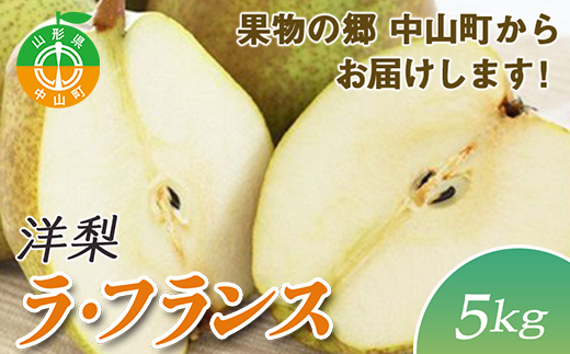 【2025年先行予約】果物の郷 中山町からお届けします!洋梨「ラ・フランス」期間限定 数量限定 ラフランス 洋ナシ 洋なし F4A-0055山形県中山町23000果物・フルーツりんご・梨