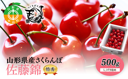 《先行予約・期間限定》さくらんぼ 佐藤錦 500g 特秀L《バラ詰め》数量限定 F4A-0072山形県中山町21000果物・フルーツさくらんぼ