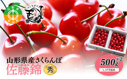 《先行予約・期間限定》さくらんぼ 佐藤錦 秀L 500g×2《バラ詰め》数量限定 F4A-0073山形県中山町21000果物・フルーツさくらんぼ