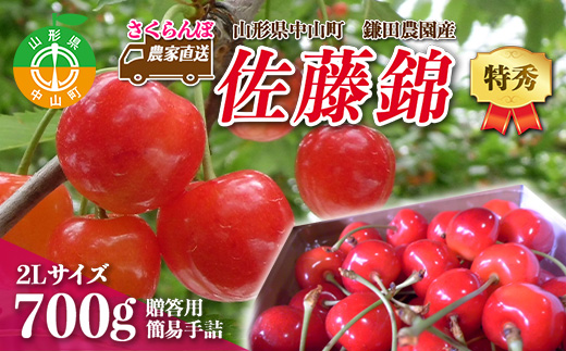 《2025年度先行受付》 農家直送 山形県中山町産 さくらんぼ佐藤錦 【特秀】2L 贈答用 簡易手詰 700g 期間限定 数量限定 鎌田農園 果物 くだもの フルーツ サクランボ F4A-0092山形県中山町30000果