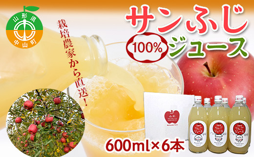 R`RY Tӂ100%W[X 600ml×6{ ߘa7NŶ񂲎gp 12{蔭Jn nӃt@[ S t[c ʕ  F4A-0120R`R11000ʕEt[c