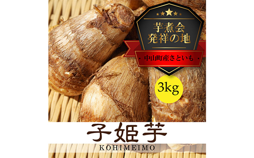 sω˂̒nRYtR`` qP3kg    Ƃ n F4A-0250R`R12000؁ÊႪEC
