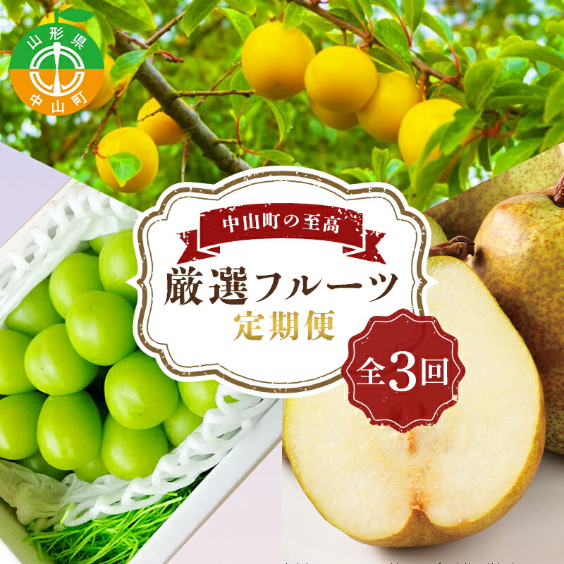 中山町の至高! 山形県中山町 厳選フルーツ定期便 全3回 【2025年8月発送開始】 F4A-0384山形県中山町34000果物・フルーツ