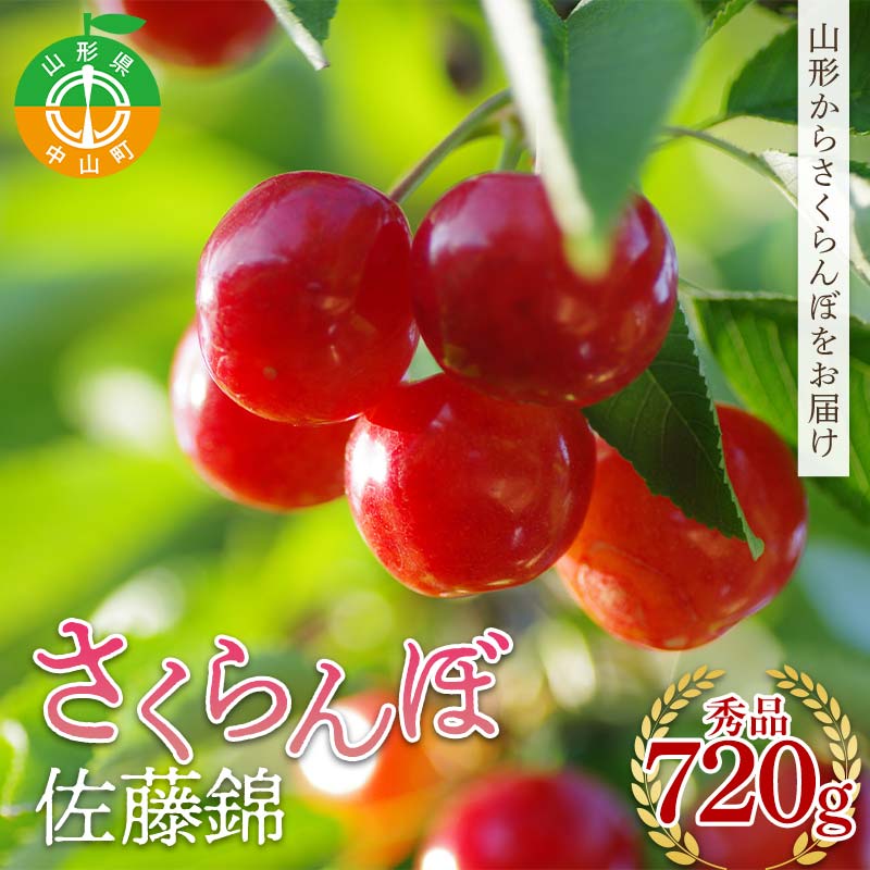 《先行予約》2026年度発送 山形県産 さくらんぼ 佐藤錦 秀品 720g F4A-0404山形県中山町20000果物・フルーツさくらんぼ