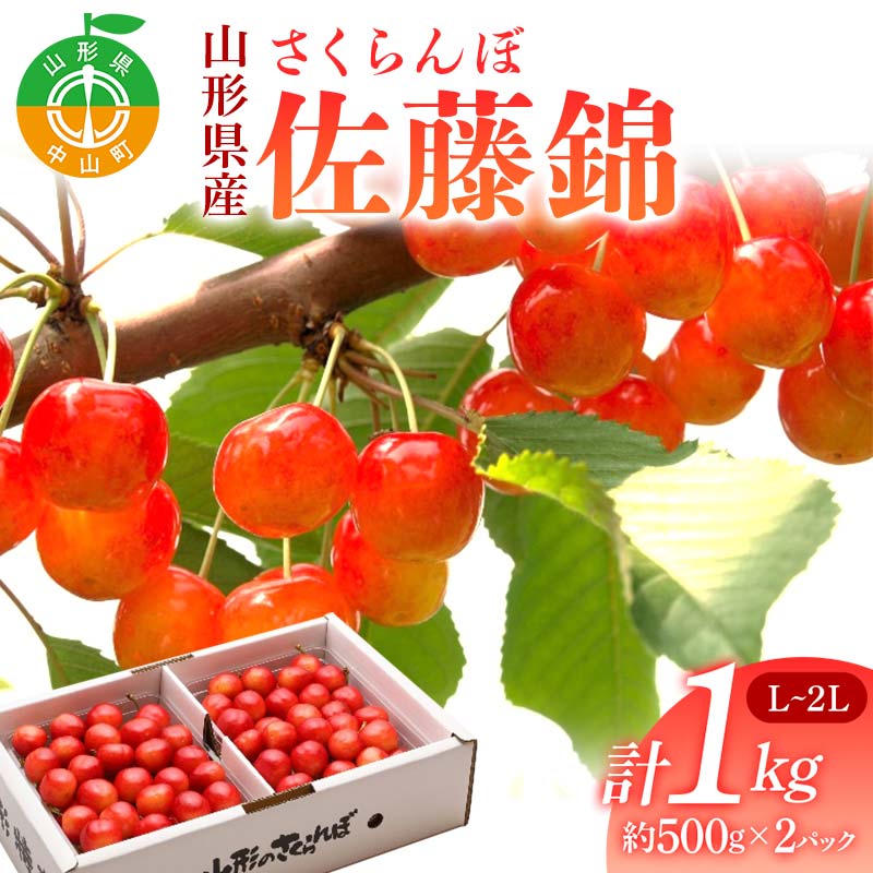 《2026年先行予約》 山形県産 さくらんぼ 佐藤錦 約500g×2パック(L〜2Lサイズ) 特秀 果物 フルーツ 山形県 中山町 F4A-0416山形県中山町24000果物・フルーツさくらんぼ
