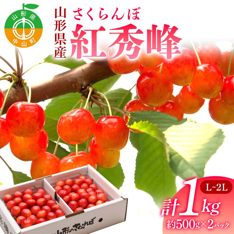 《2026年先行予約》 山形県産 さくらんぼ 紅秀峰 約500g×2パック(L〜2Lサイズ)特秀 果物 フルーツ 山形県 中山町 F4A-0418山形県中山町24000果物・フルーツさくらんぼ