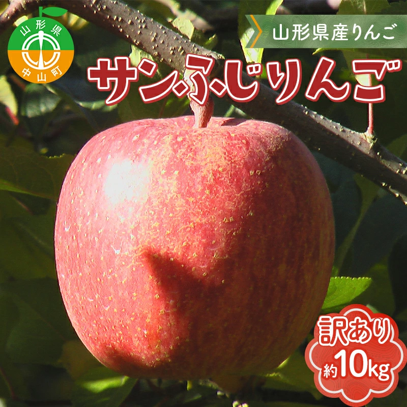 《先行予約》 【訳あり】山形県産サンふじりんご 約10kg 《2025年12月上旬頃より順次発送予定》バラ入り りんご リンゴ 林檎 デザート フルーツ 果物 くだもの 果実 食品 山形県 中山町 F4A-0462
