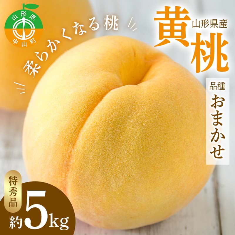 《2026年先行予約》山形県 産黄桃 品種おまかせ 特秀品 柔らかくなる桃 約5kg(黄金桃、スイート光黄、黄ららの極み、黄貴妃 他) F4A-0469山形県中山町24000果物・フルーツもも・すもも