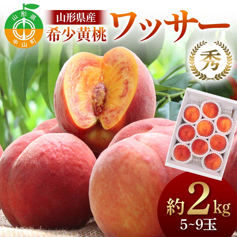 山形県産 希少黄桃ワッサー 約2kg 5〜9玉 秀 桃 もも フルーツ 黄色 F4A-0922山形県中山町13000果物・フルーツもも・すもも