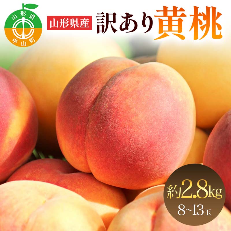 R`Y 󂠂艩 2.8kg 8`13   t[c F ƒp F4A-0925R`R12000ʕEt[cE
