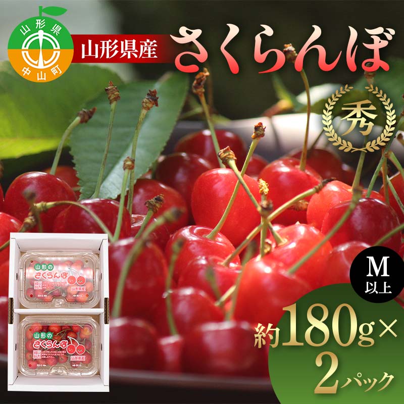 ystzR`Y ږ180g×2P i킨܂ Mȏ ʕ  t[c ĉʕ TN{ F4A-0926R`R11000ʕEt[c