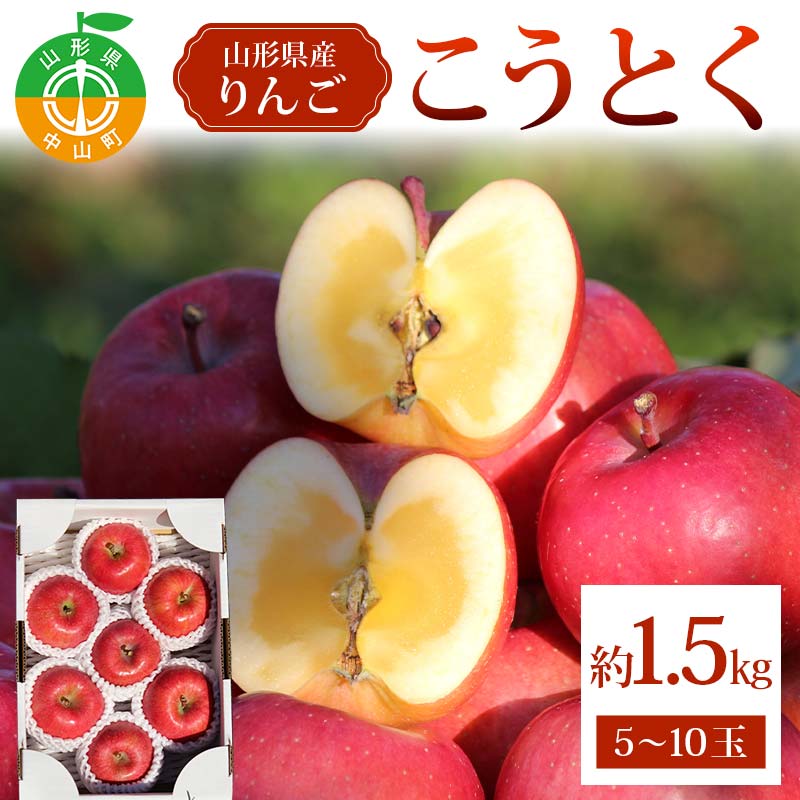 こうとく約1.5kg 5〜10玉 こうとく 林檎 リンゴ 果物 くだもの フルーツ 山形県産 F4A-0941山形県中山町13000果物・フルーツりんご・梨