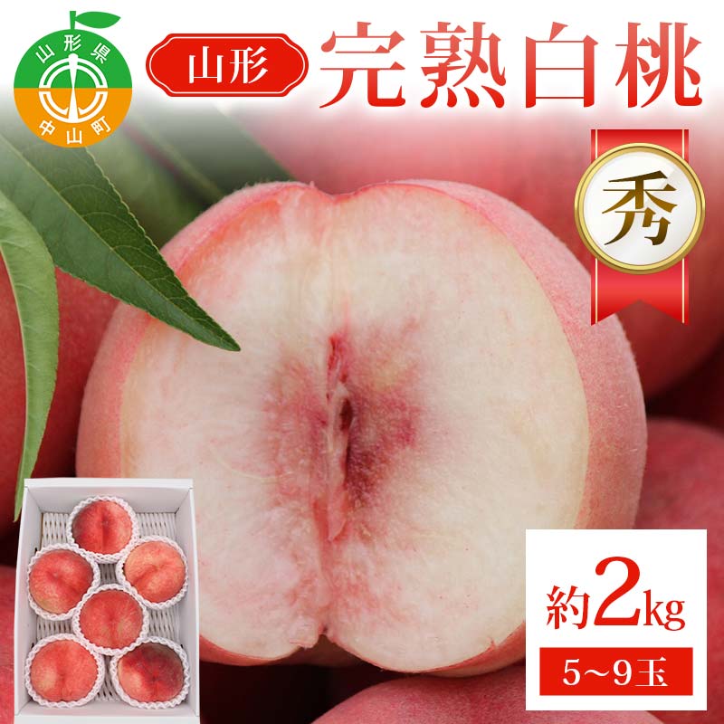 山形完熟白桃 約2kg 5〜9玉 秀 完熟白桃 果物 くだもの 桃 もも フルーツ 山形県産 F4A-0943山形県中山町12000果物・フルーツ