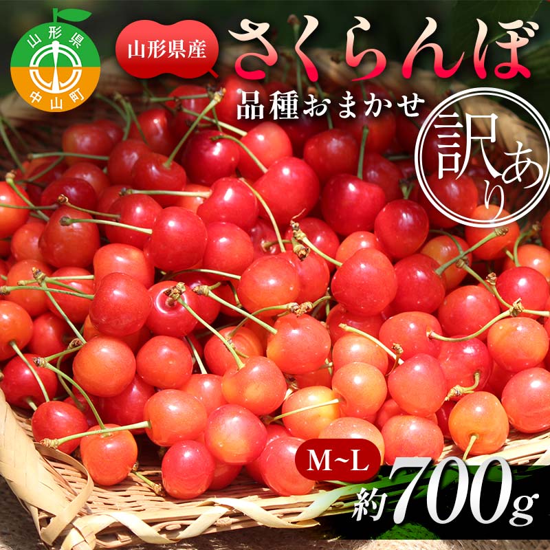 ystzy󂠂zږ700g M`L (orgG) ʕ  t[c ĉʕ TN{ ƒp p F4A-0946R`R14000ʕEt[c