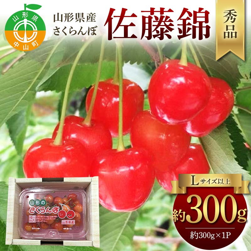令和8年産【先行受付】山形県産さくらんぼ<佐藤錦>秀品 約300g×1P Lサイズ以上 期間限定 数量限定 山形県産 サクランボ フルーツ 果物 くだもの 贈答 F4A-0964山形県中山町10000果物・フルー